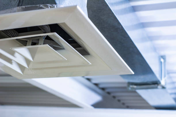Best General Air Duct Cleaning  in Royalton, IL