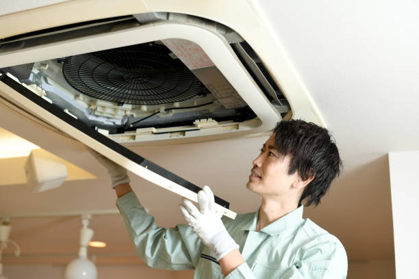 Best Commercial Air Duct Cleaning  in Royalton, IL