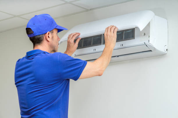 Best Affordable HVAC Duct Cleaning  in Royalton, IL