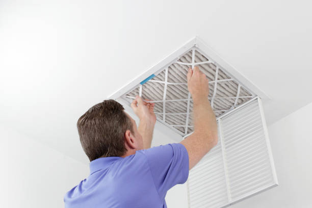 Best HVAC System Cleaning  in Royalton, IL